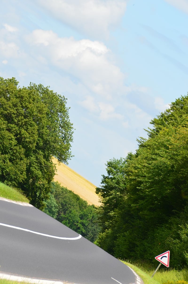Career Roadmaps
