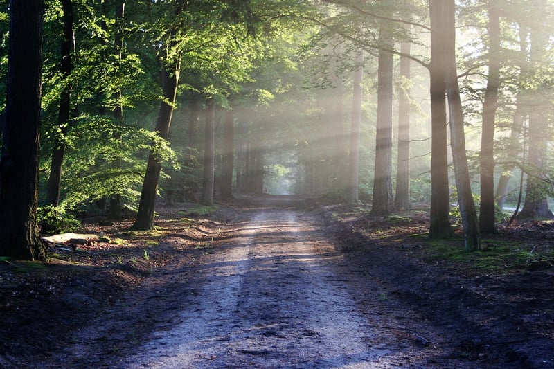Untraditional Paths